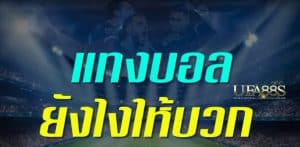 เว็บแทงบอลใหญ่